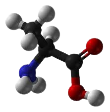 Molecule 1